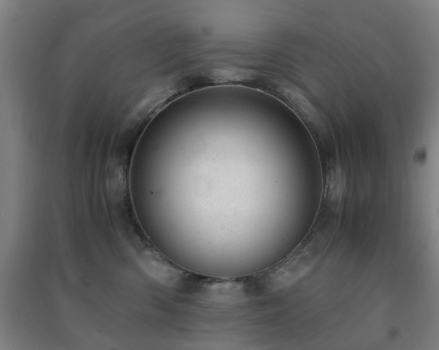 X0000091450426200708161302