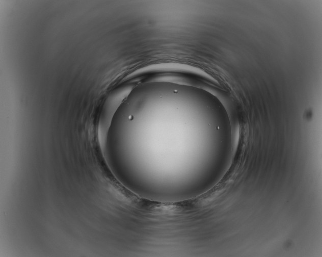 X0000091450428200708161302