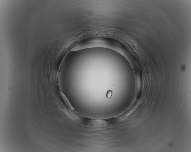 X0000091450429200708161302
