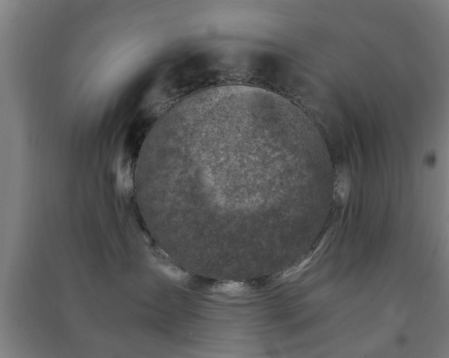 X0000091450431200708161302