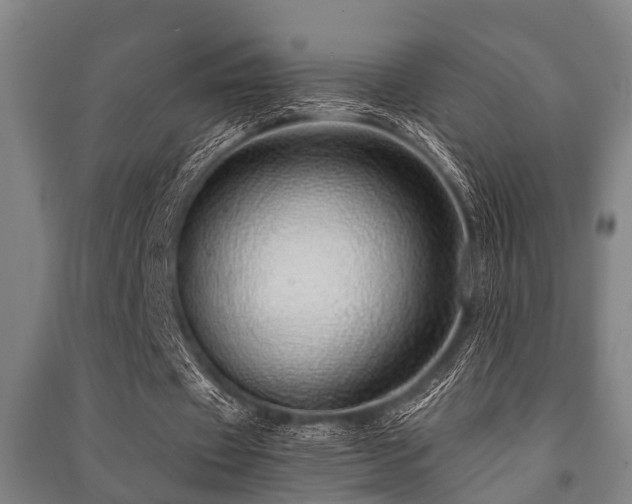 X0000091450433200708161301