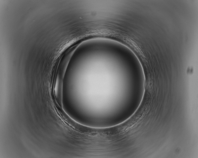 X0000091450434200708161301