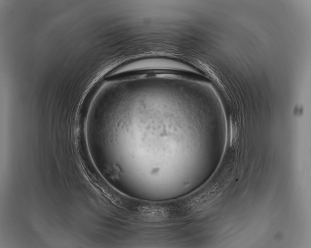 X0000091450435200708161301