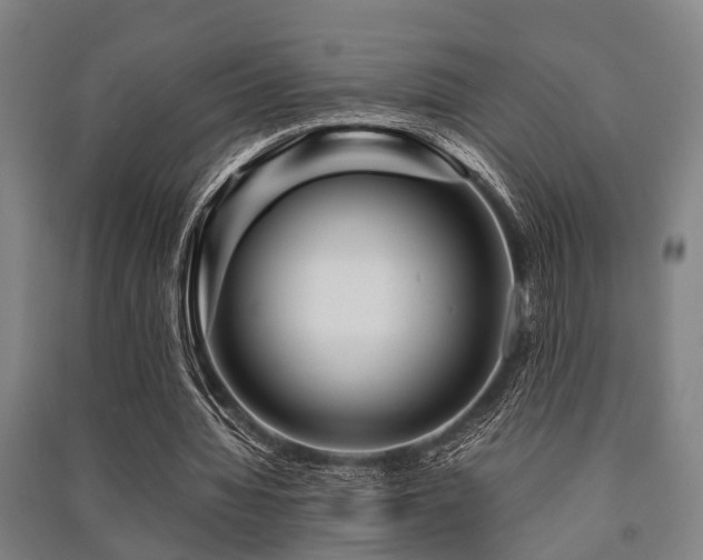 X0000091450436200708161301
