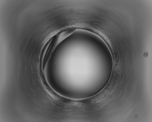 X0000091450437200708161301