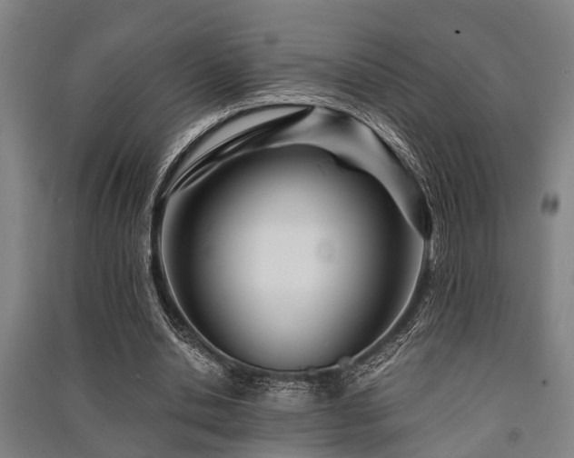 X0000091450438200708161301