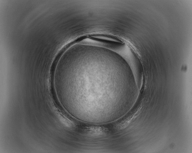 X0000091450439200708161301