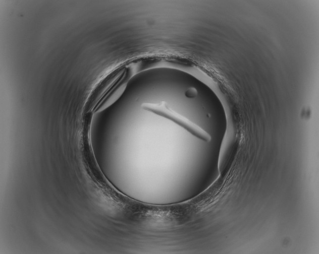 X0000091450440200708161301