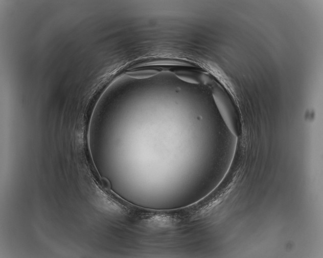 X0000091450441200708161301