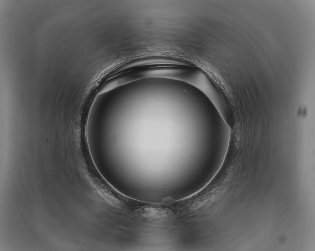 X0000091450442200708161301