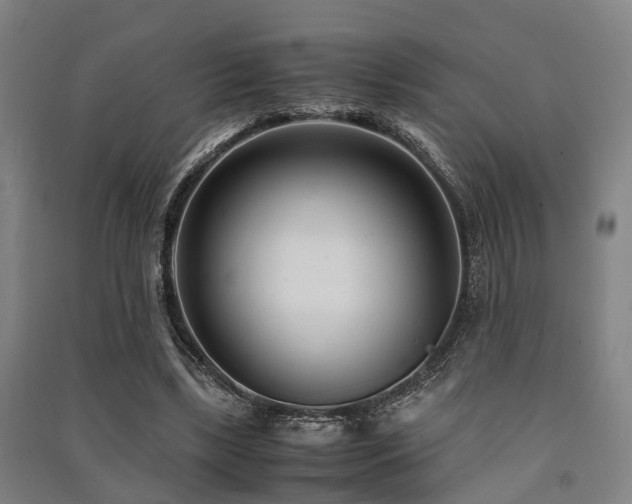 X0000091450443200708161301