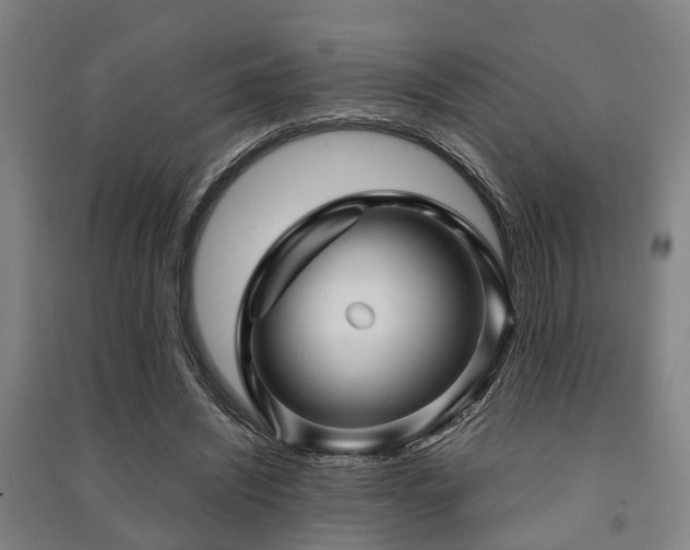 X0000091450444200708161301