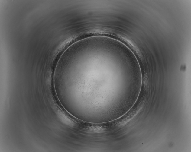X0000091450445200708161301