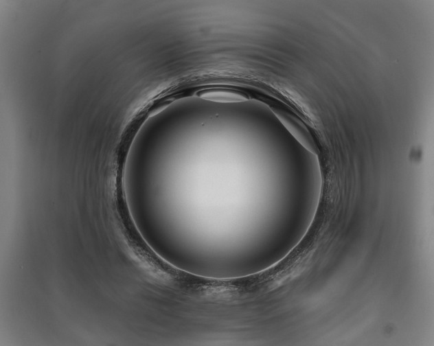 X0000091450446200708161301