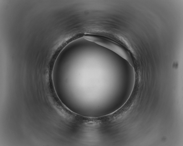 X0000091450447200708161301