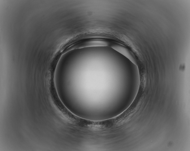 X0000091450448200708161301