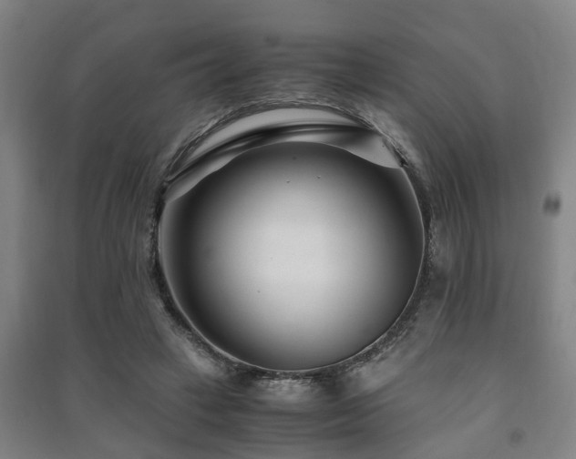 X0000091450449200708161301