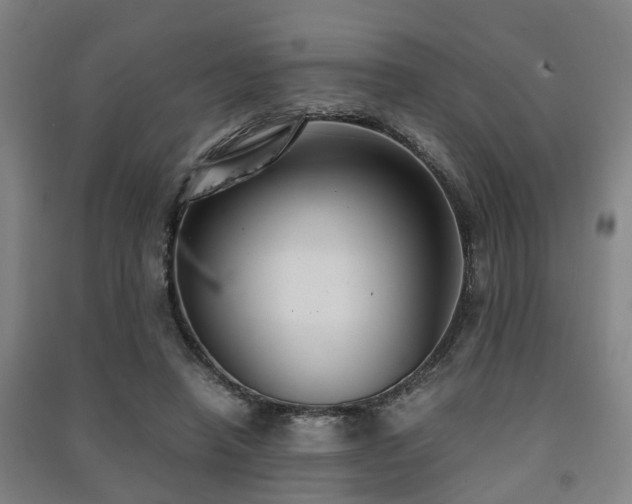 X0000091450450200708161301