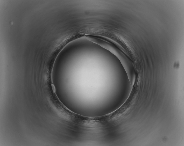 X0000091450451200708161301