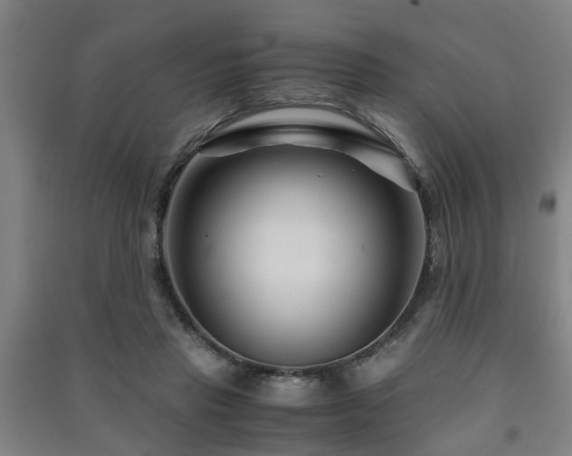X0000091450453200708161301