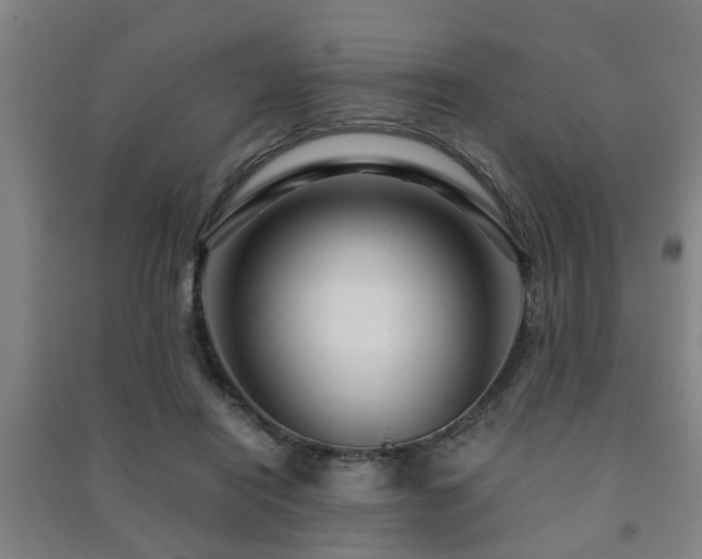 X0000091450454200708161301