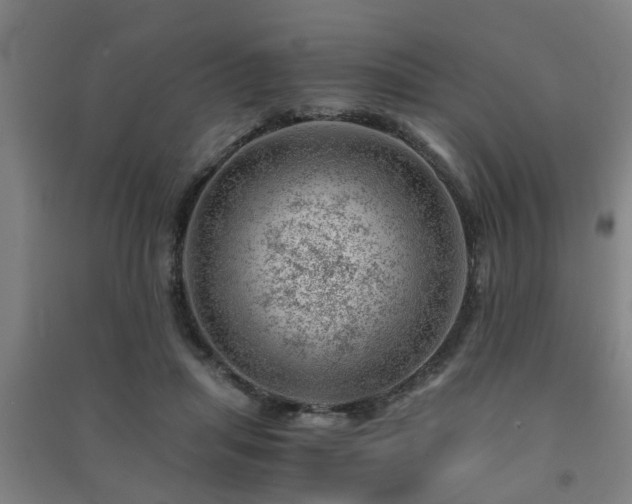 X0000091450455200708161301