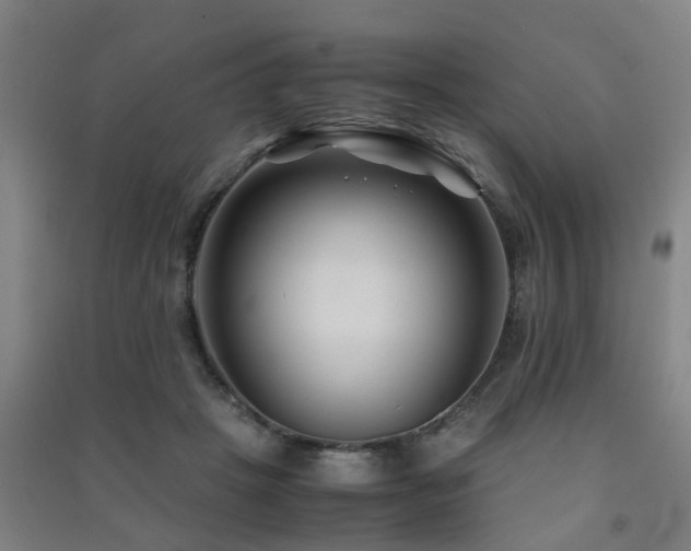 X0000091450457200708161301