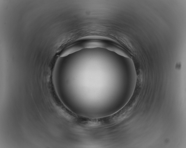 X0000091450458200708161301