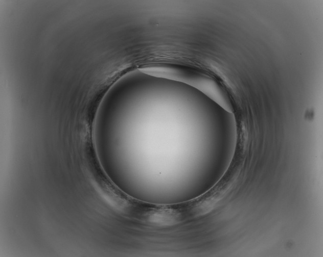 X0000091450459200708161301