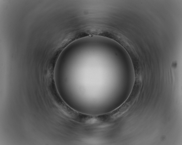 X0000091450460200708161301