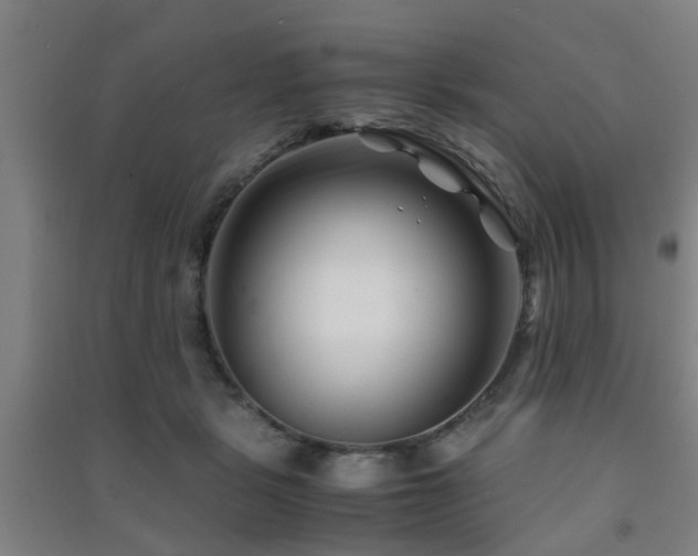 X0000091450461200708161301