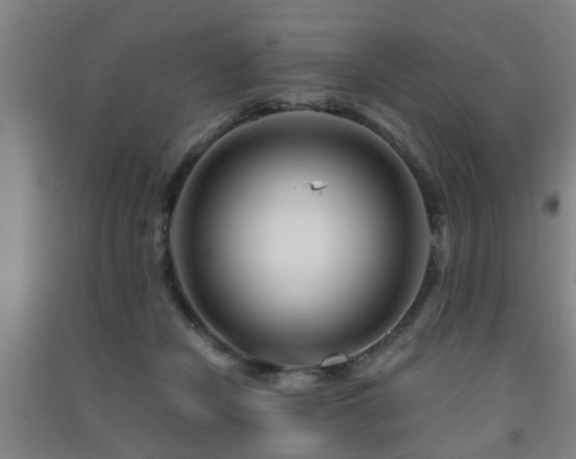 X0000091450462200708161301