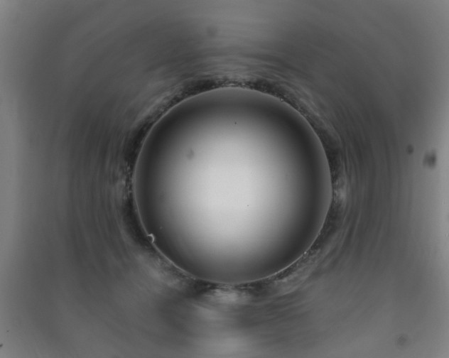 X0000091450464200708161301