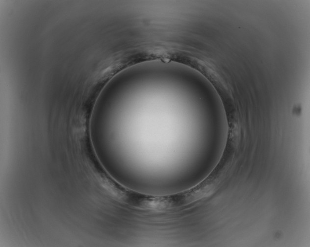 X0000091450466200708161301