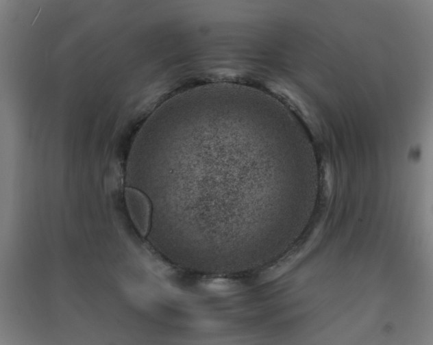 X0000091450467200708161301