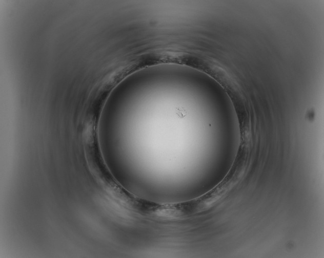 X0000091450468200708161301