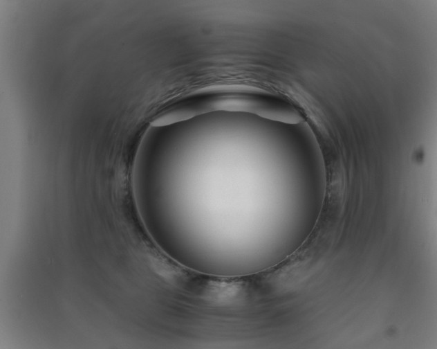 X0000091450469200708161301