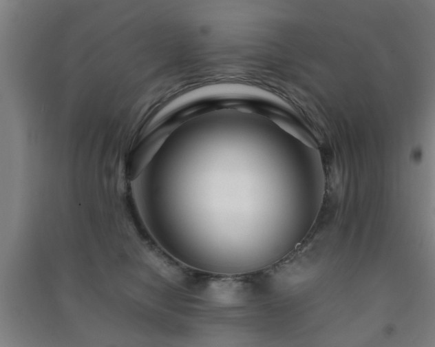 X0000091450470200708161301