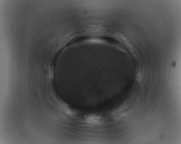 X0000091450471200708161301