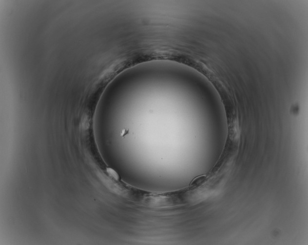 X0000091450472200708161301