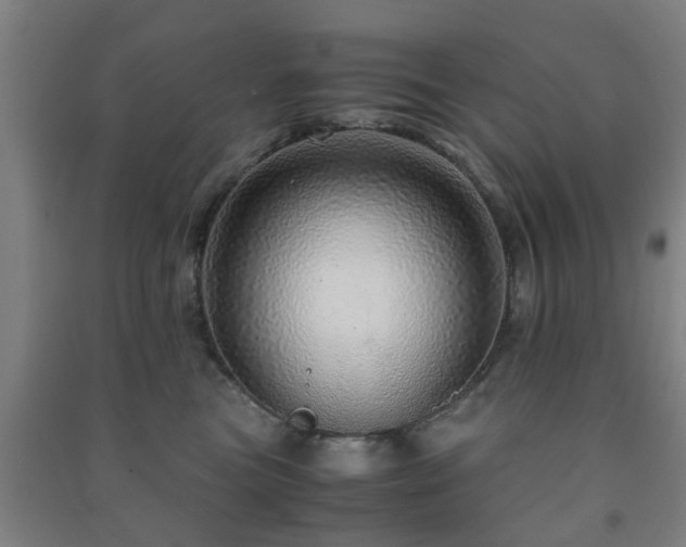 X0000091450473200708161301