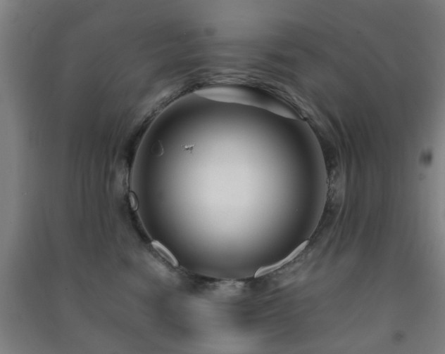 X0000091450474200708161301