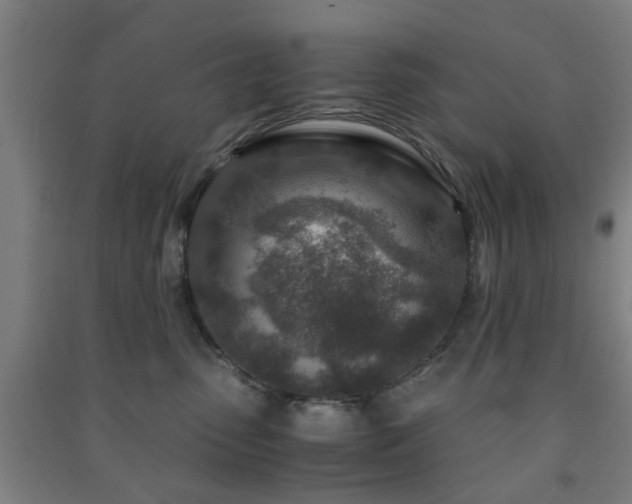 X0000091450475200708161301