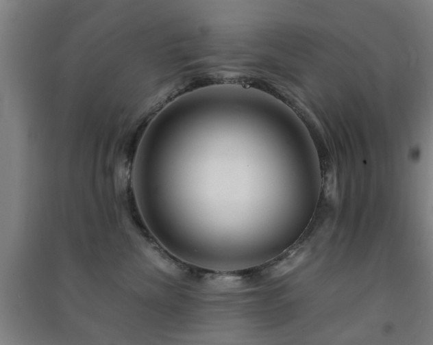 X0000091450476200708161301