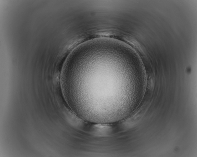 X0000091450477200708161301