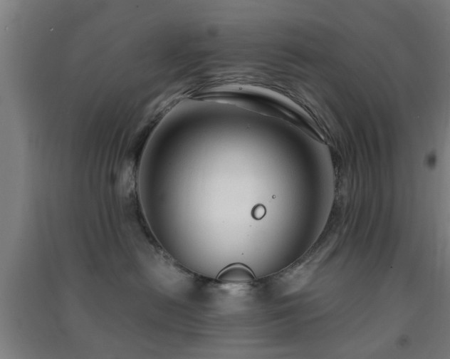 X0000091450478200708161302