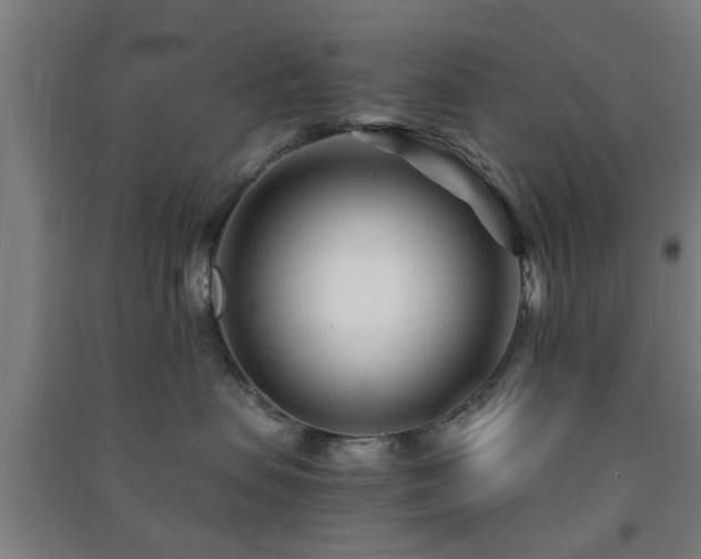 X0000091450479200708161302