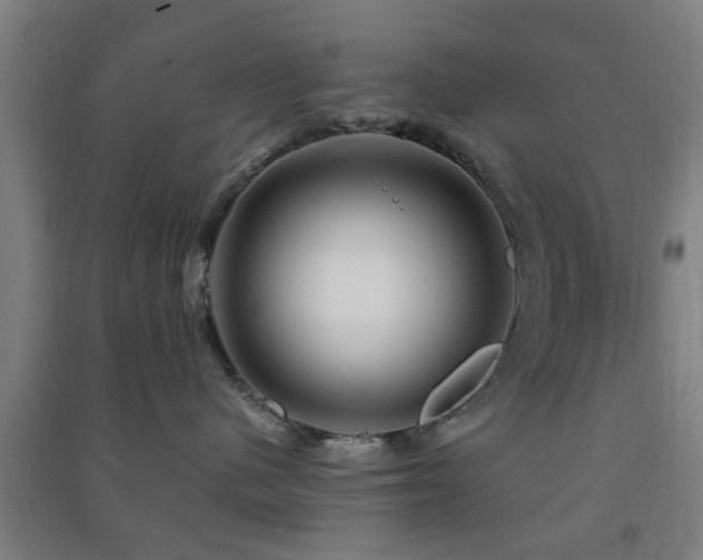 X0000091450480200708161302