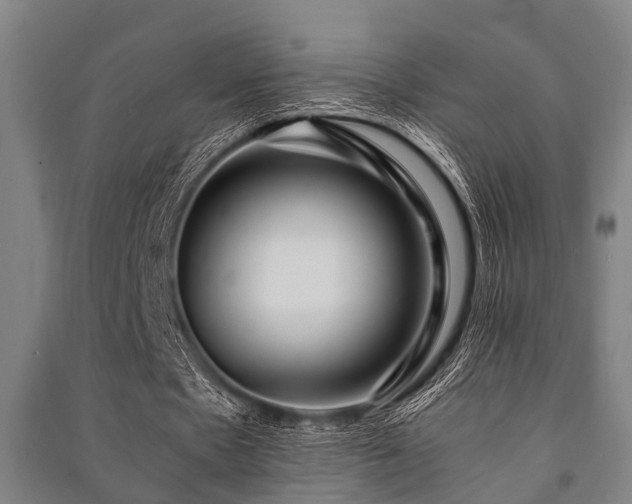 X0000091450481200708161301