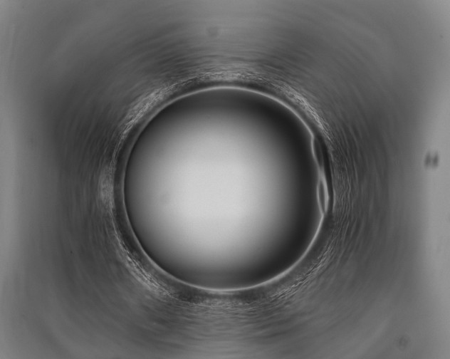 X0000091450482200708161301